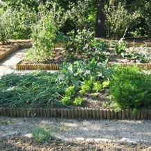 Pfeiffer- Vogl, Вайтра — фото 5