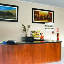 Hotel El Parral Suite, Ика — фото 2