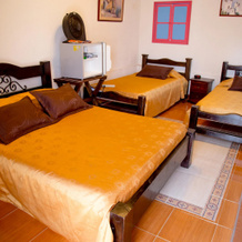 Finca Hotel La Manuela, Montenegro — photo 2