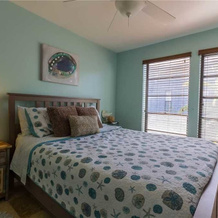 315 - Sea Turtle #82, North Captiva — photo 2