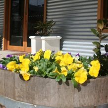 Millthorpe Boutique Motel, 米尔索普 — 照片 5