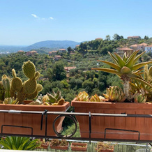 Vezzhouse con Convenzione per Spa & Wellness, Vezzano Ligure — photo 3
