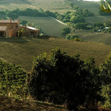 Filodivino Wine Resort & SPA, 圣马切洛 — 照片 2