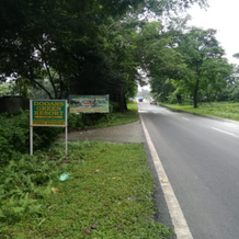 OYO 82593 Dooars Green Resort, Dakshin Dhupjhora — photo 4