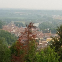 Cascina Rollone, Роккетта-Танаро — фото 2