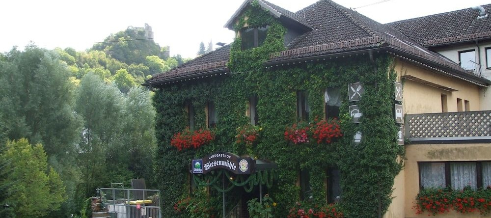 Landgasthof Wiesenmühle, 霍恩施泰因堡 — 照片 1