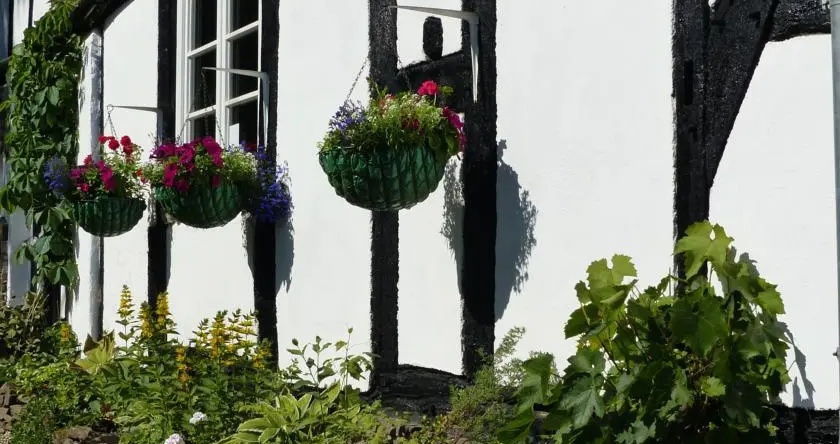 Vine Cottage Bed and Breakfast, 维森 — 照片 1