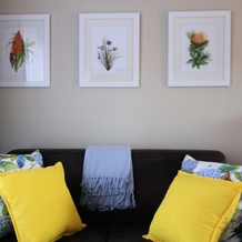 Cycad Place, Johannesburg — photo 3