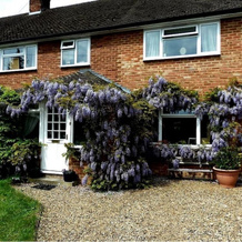 Upthedowns B&B, 塞文奥克斯 — 照片 2