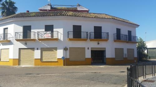 Laguna Mendoza, Palma del Rio — photo 1