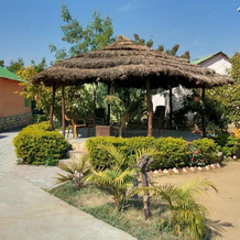 K.raj Tiger Resort, Панна — фото 5