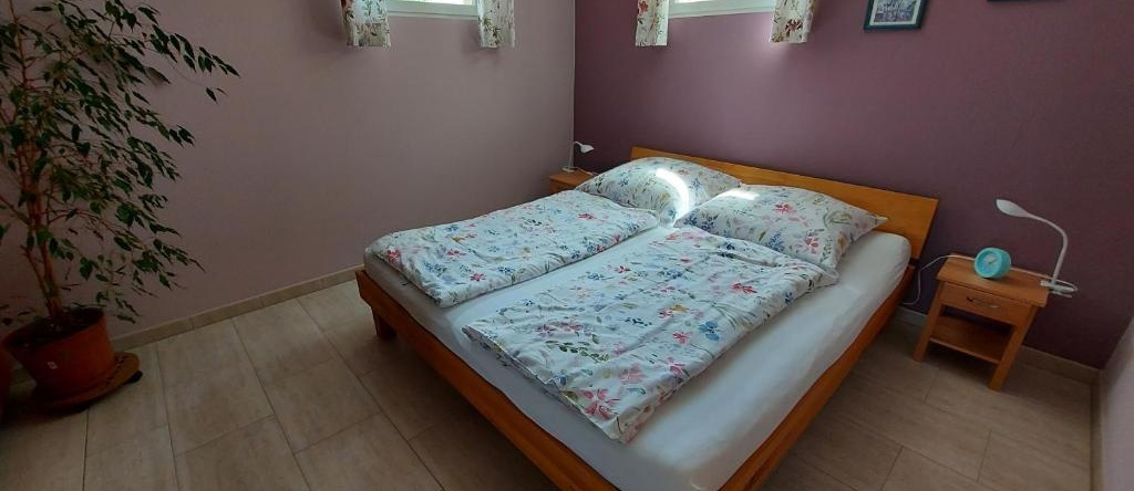 Ferienwohnung Sonne 11, Эльтман — фото 1