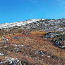 Holiday Home in Alta, Alta — photo 3