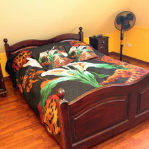 Holiday Home Villa Bieszkowice, 博尔舍沃 — 照片 5
