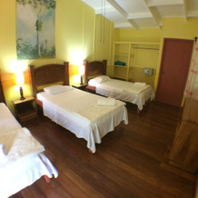 Caribbean Paradise Eco-Lodge, 托尔图格罗 — 照片 3