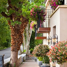 Keenans Boutique Hotel, Термонбарри — фото 2