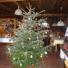 Gasthof Alpenrose und Pension Nina, 格施尼茨 — 照片 5