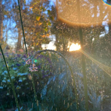 Waterval farmstay, Graaff-Reinet — photo 5