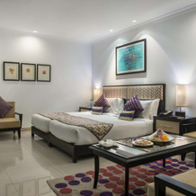 Sarovar Portico Surajkund Faridabad, 法里达巴德 — 照片 3