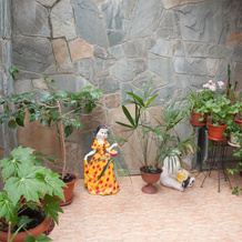Morskoy Briz Guest house, 奥尔金卡 — 照片 3