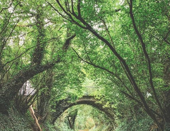 La Clef Des Champs 61, La Chapelle-Souëf — photo 1