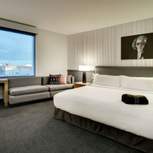 The Rose Hotel Chicago O’Hare, Tapestry Collection by Hilton, 芝加哥 — 照片 3