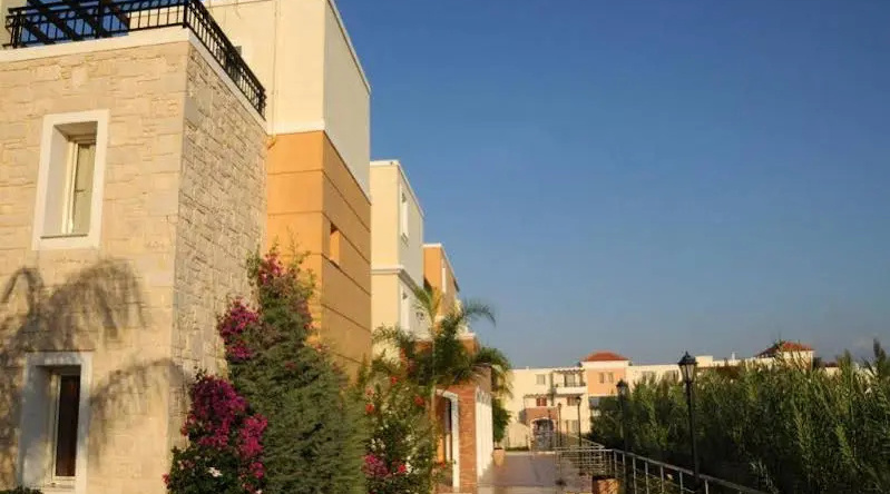Chrispy Deluxe Wing, Камисиана — фото 1