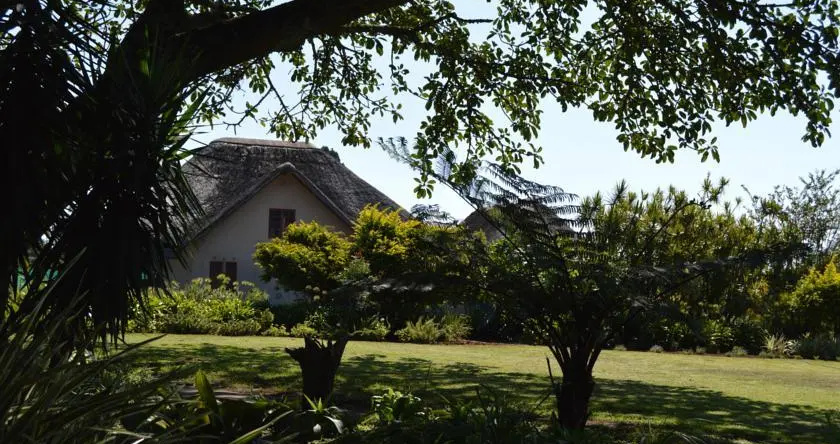 Aloe Guest Lodge, 埃绍韦 — 照片 1