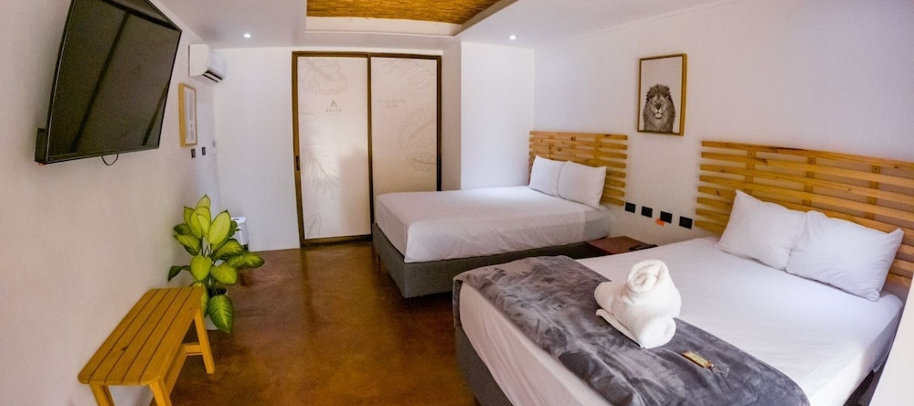 Avita Lodge Hotel de Montaña, 克萨达 — 照片 1