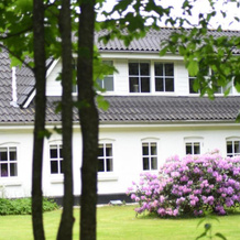 Nebelgaard Holiday House, Брамминг — фото 4