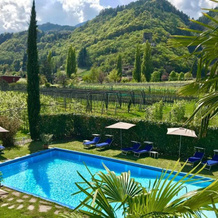 Hotel Burgleitenhof, 拉纳 — 照片 2