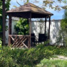 Barrakuda Guest House, 奥列尼夫卡 — 照片 4