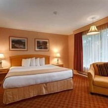 Sword Motor Inn, 班克罗夫特 — 照片 5