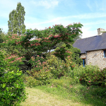 Mansion With 2 Bedrooms in Miniac-morvan, With Enclosed Garden and Wif, Miniac-Morvan — photo 4