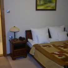 Hotel Natura Zdrój Wellness & SPA, 伊沃尼奇-兹德鲁伊 — 照片 4