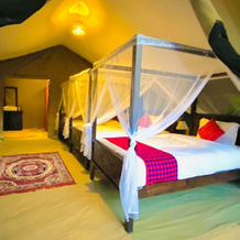 Lorian Safari Camp, Талек — фото 5