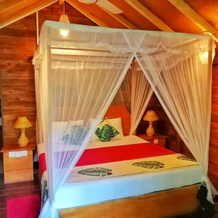 360 Rainforest, Poddana — photo 4
