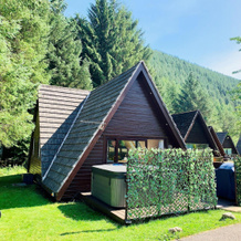 Bright Star Lodge, Инвергарри — фото 5