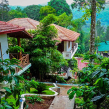 La Flora Jungle Hill Resort - Coorg, 梅凯里 — 照片 3