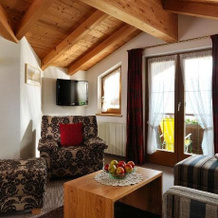 Hotel Garni Alpina, Зерфаус — фото 3