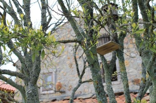 Casas Do Favacal - a Traditional Xisto House, 佩内拉 — 照片 1