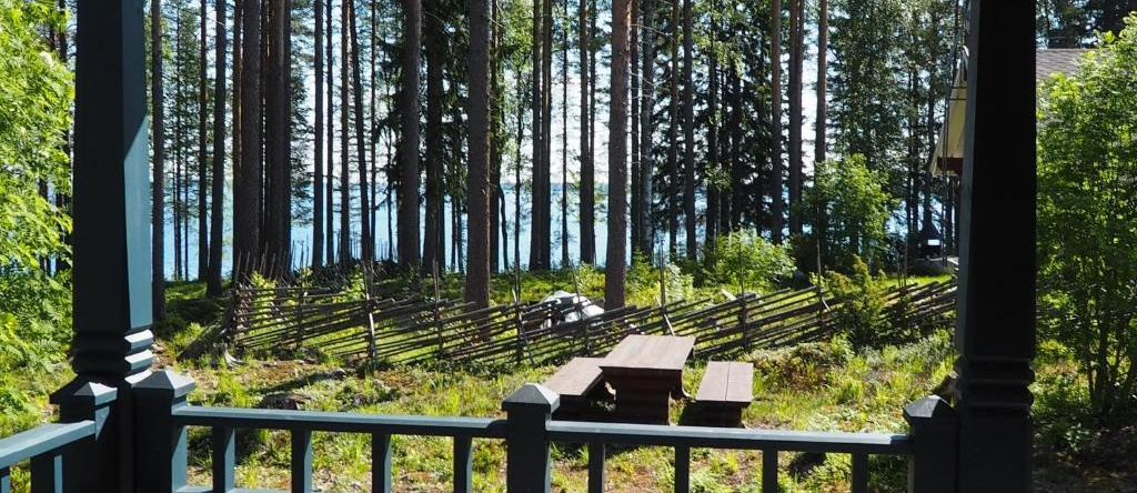 Aalto Koli, 列克萨 — 照片 1