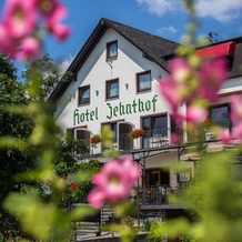 Hotel Zehnthof, 伊尔齐希 — 照片 5