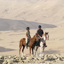 Alpaca Farm, Mitzpe Ramon — photo 5