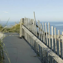 The Chapman House, Nantucket — photo 4