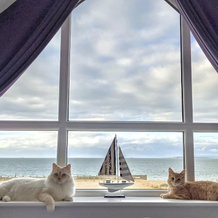 Ocean View, Хэйлинг-айленд — фото 4