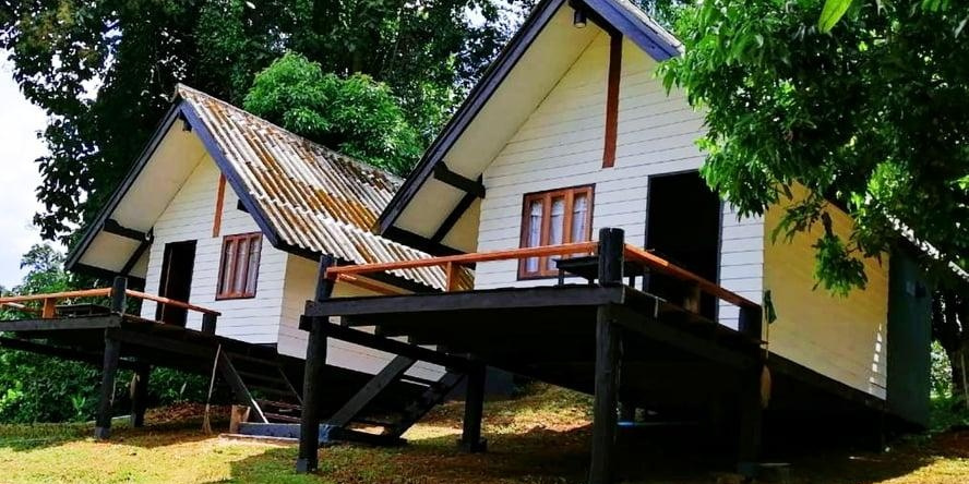 Jungle Guesthouse, Панг Мапха — фото 1