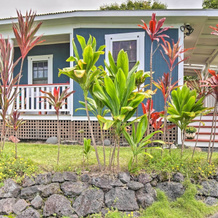 Private Wing of Historic Home < 5 Mi to the Ocean!, 库克船长 — 照片 2