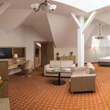 Hotel Malbork Centrum Konferencyjne, 马尔堡 — 照片 4