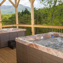 Sycamore Mansion 14 Bedroom Cabin by RedAwning, Pittman Center — photo 2